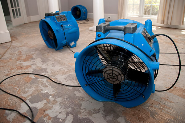 Water Damage Remediation in The Woodlands, TX