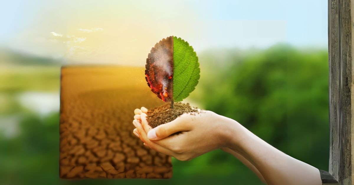 How Climate Change Impacts the Damage Restoration Industry