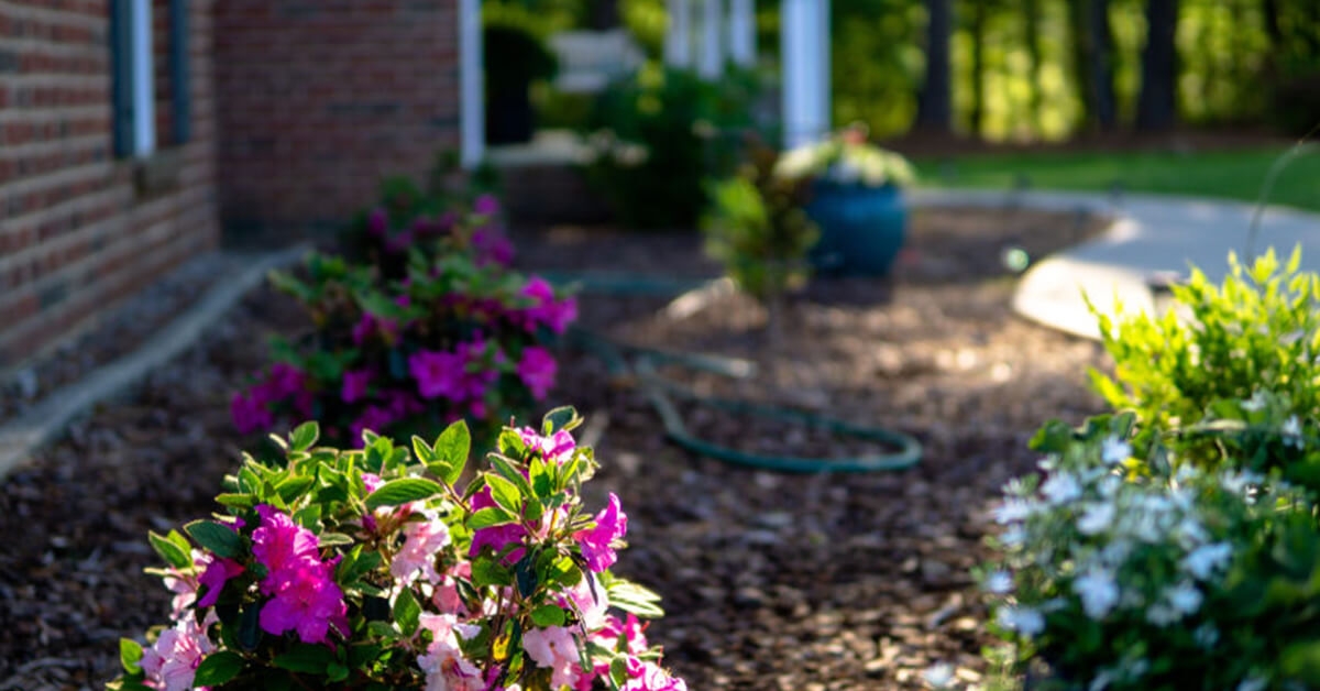 How to Use Landscaping to Prevent Flooding