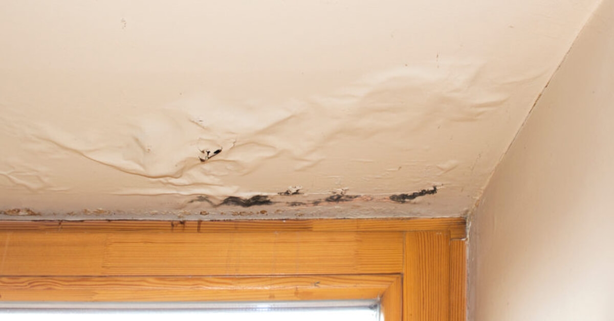 How to Spot Key Signs of Water Damage