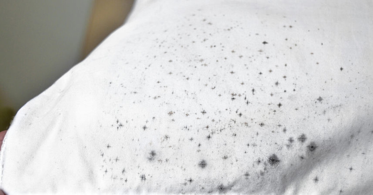 Mold on Your Clothes? Get Rid of Mold from Clothing and Fabric!