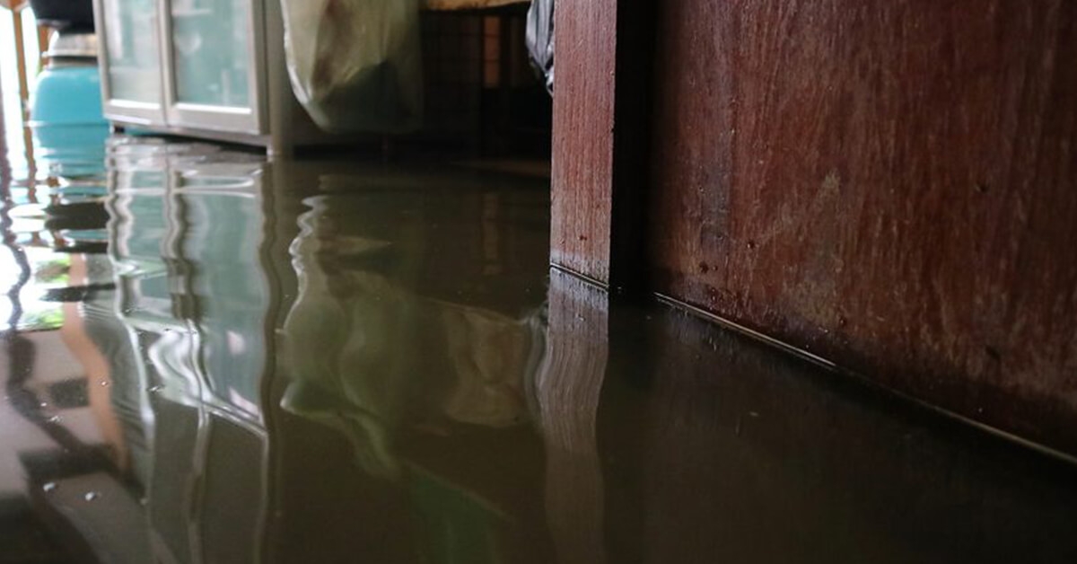 Welcome to Water Out