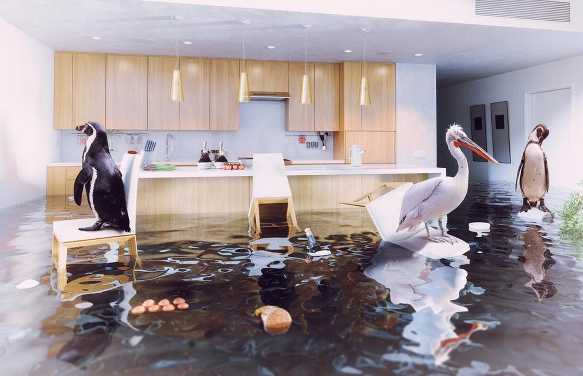 Climate Change and Disaster Patterns: Preparing for the Unpredictable in Restoration Services