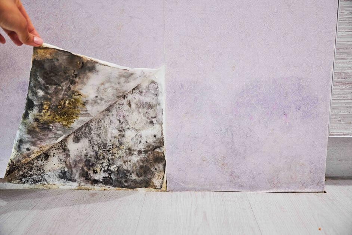 The Hidden Costs of Ignoring Water, Fire, and Mold Damage: How Prompt Action Saves You Money