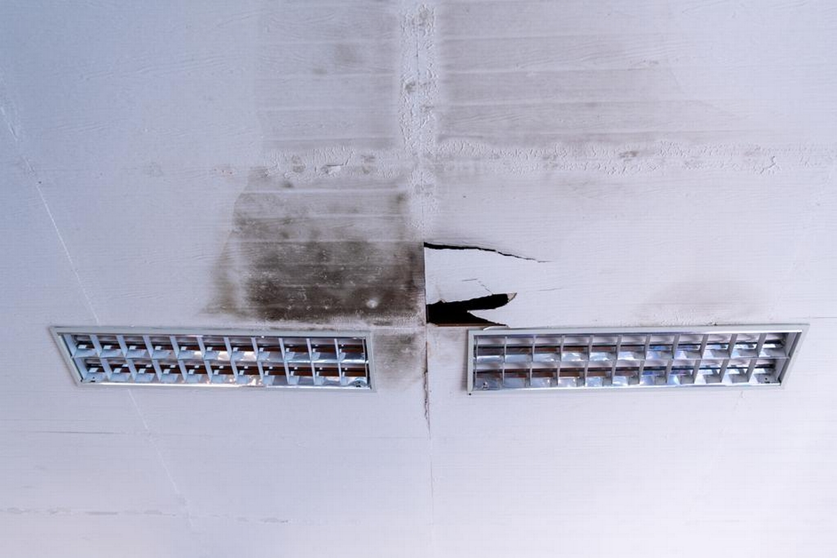 Mold Matters: Why Quick Action Is Crucial for Your Health and Home