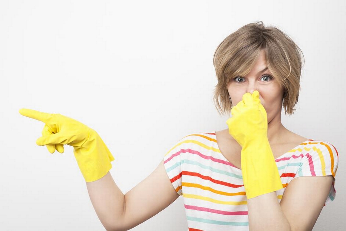 How to Get Rid of Mold Smell in Your Home for Good