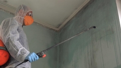 Mold Abatement vs Remediation: What’s the Difference?