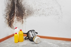 What Happens During a Mold Inspection Failure in Fort Wayne, IN