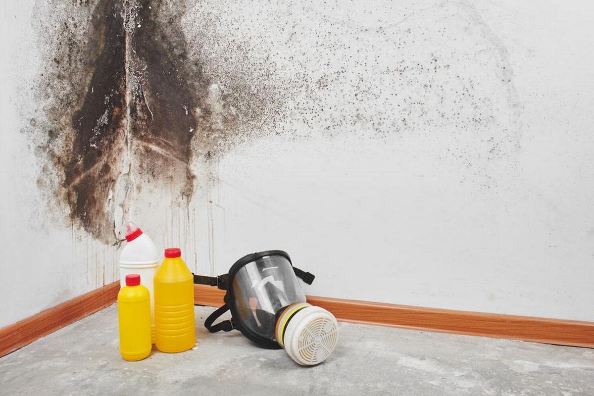 What Happens During a Mold Inspection Failure in Fort Wayne, IN
