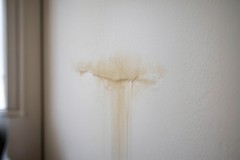 Water Damaged Drywall - When Repair Is Enough and When to Replace