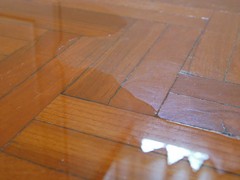 Water Damaged Laminate Flooring: Repair, Replace, or Dry It Out?
