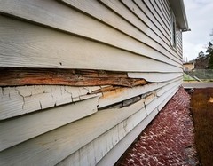 Water Damaged Siding: Repair Tips and Costs