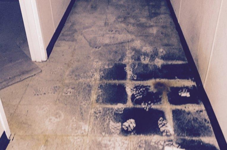 Mold Remediation Project