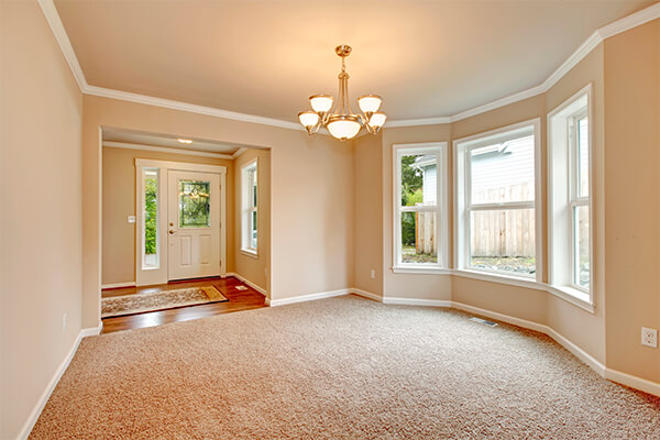 Mold Damage Repair and Restoration in Northeast Indiana, Southwest Michigan and Western Ohio