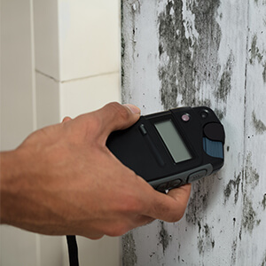 Mold Testing