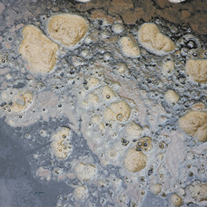 Sewage Backup in Northeast Indiana, Southwest Michigan and Western Ohio