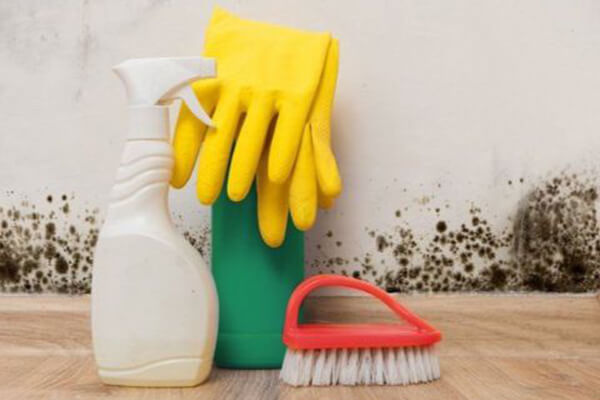 Mold Abatement in Geneva, IN