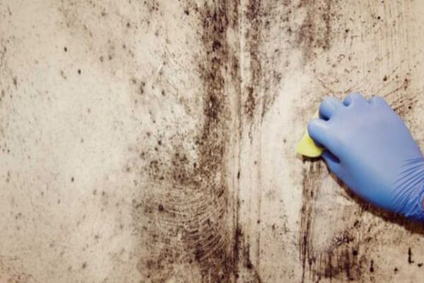 Mold Cleaning in Hartford, IN