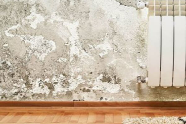 Mold Cleaning in Huntertown, IN