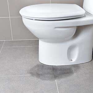 Toilet Overflow Cleanup in Fort Wayne, IN