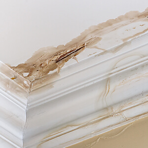Water Leak Cleanup and Repair in Fort Wayne, IN