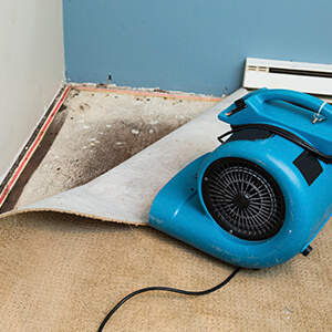What to do after water damage