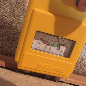 Structural Drying and Dehumidification in Fort Wayne, IN