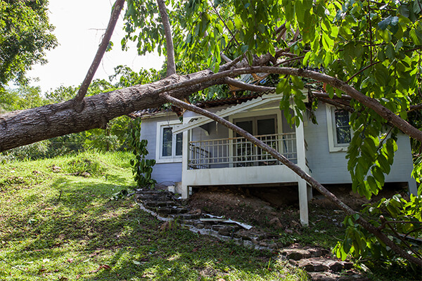 Storm Damage Restoration