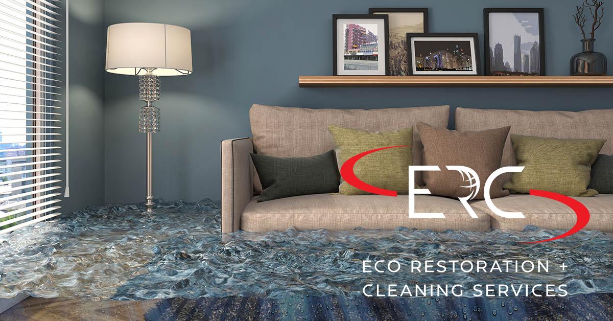Top Rated Water Damage Cleanup in Denver, CO