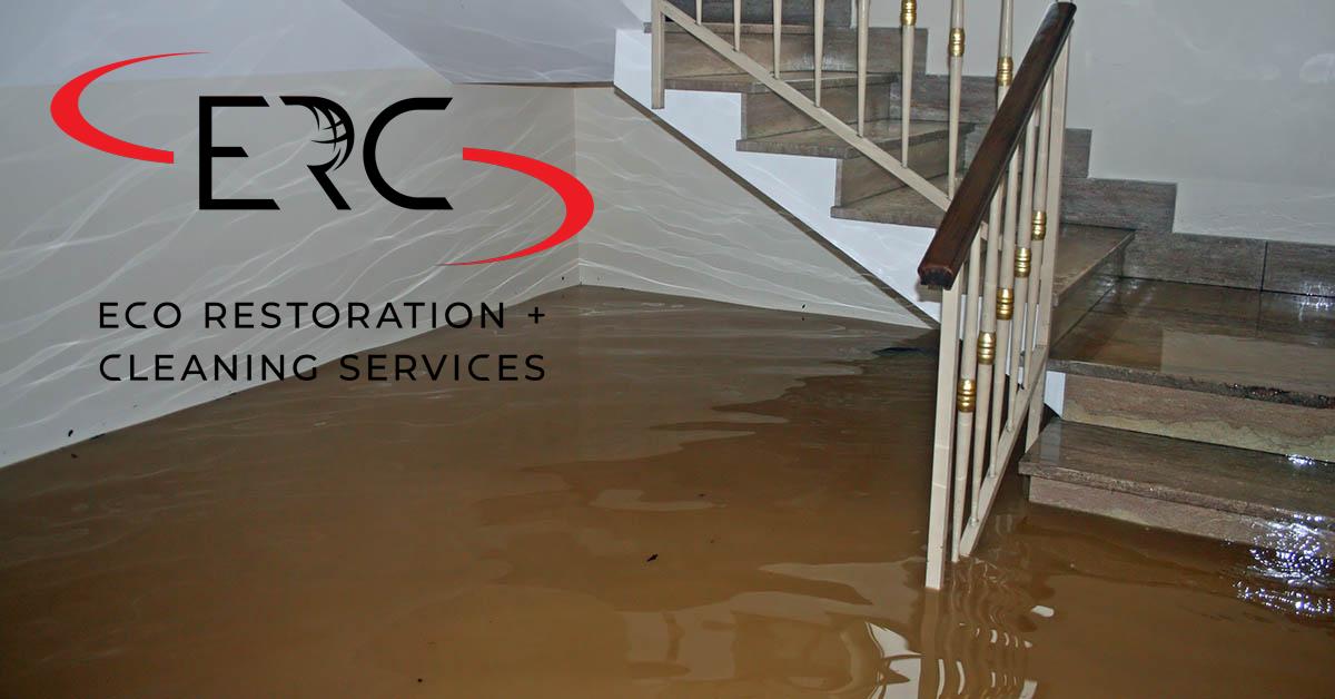 Top Rated Water Damage Mitigation in Glendale, CO