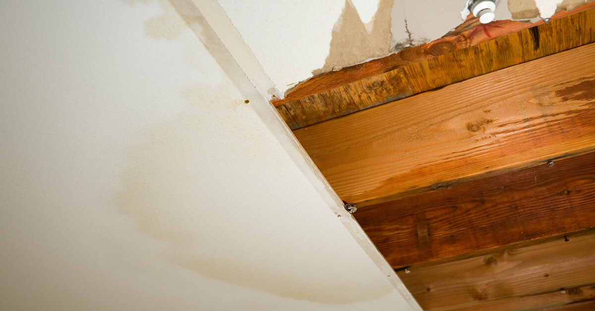 Water Damage Cleanup in Glendale, CO