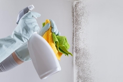 Beyond Basics: Innovative Materials and Techniques Revolutionizing Mold Remediation