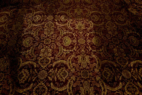 Commercial Carpet Cleaning in Denver, Galveston, and Houston