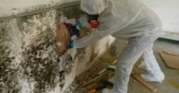 San Leon, TX Mold Remediation