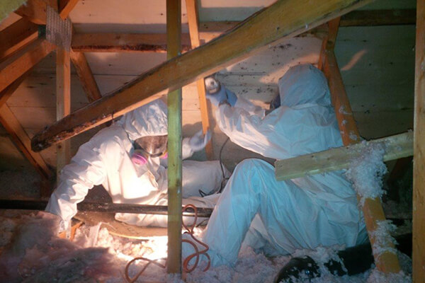 Mold Mitigation in Noblesville, IN