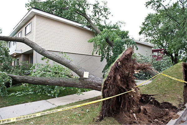 Storm Damage in Centennial, CO and Surrounding Area