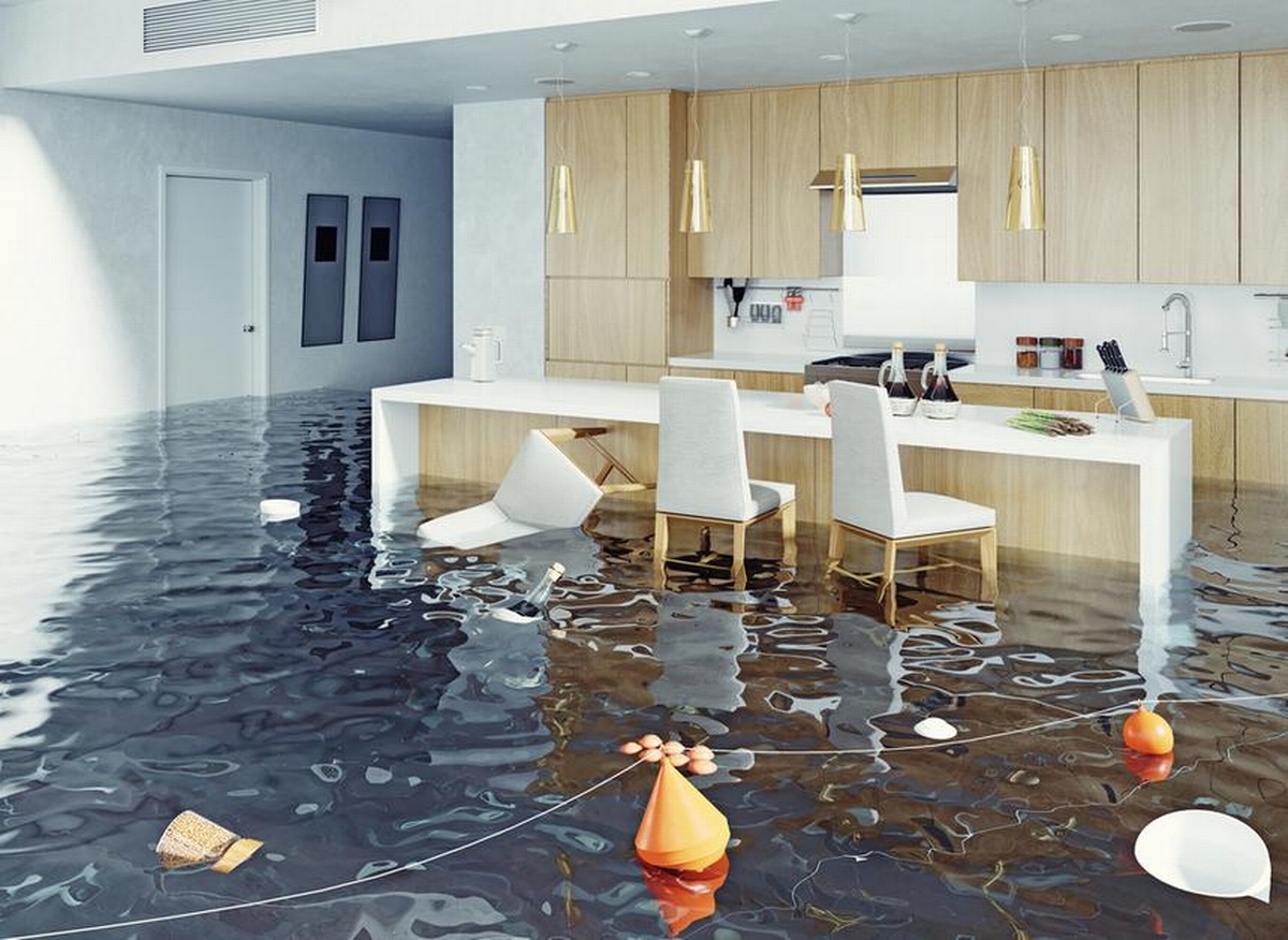 Navigating the Challenges of Water Damage Restoration: Innovations and Industry Standards
