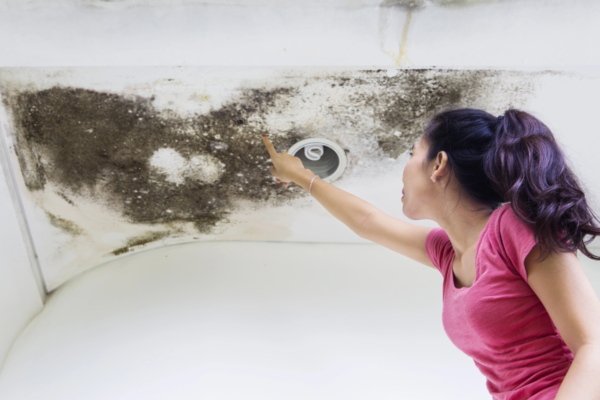 The Science Behind Mold Growth: Understanding Causes, Impacts, and Advanced Remediation Techniques