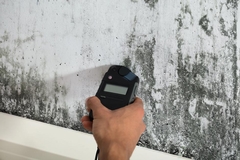 Understanding Water, Fire, and Mold Damage Restoration: An In-Depth Guide for Homeowners