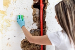 Water, Fire, and Mold Damage Restoration: DIY vs. Professional Services