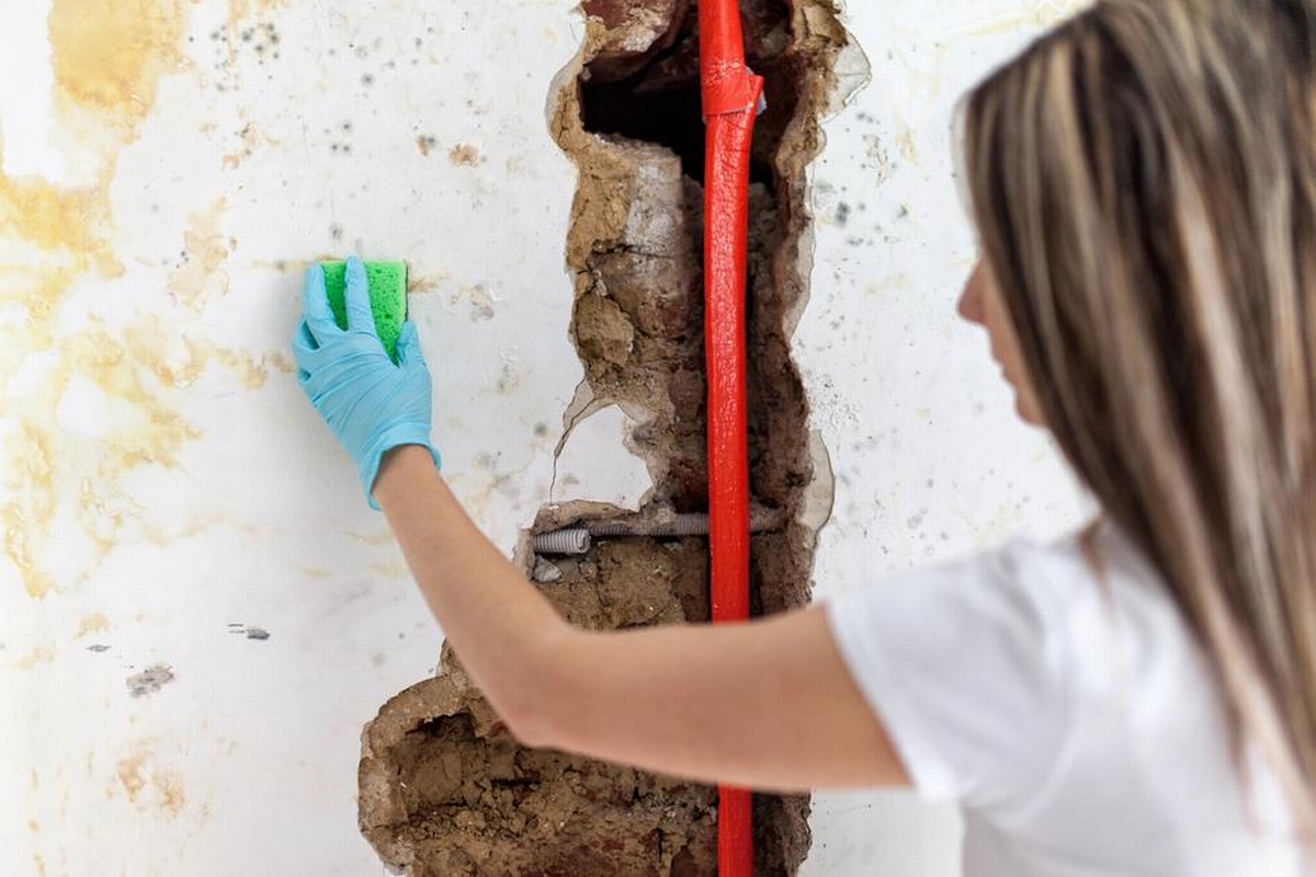 Water, Fire, and Mold Damage Restoration: DIY vs. Professional Services
