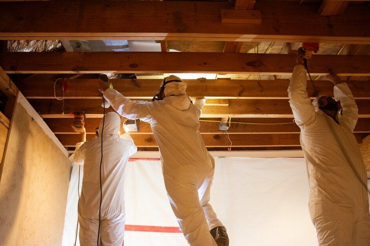 5 Tips for Preventing Mold Growth in Your Home After Water Damage