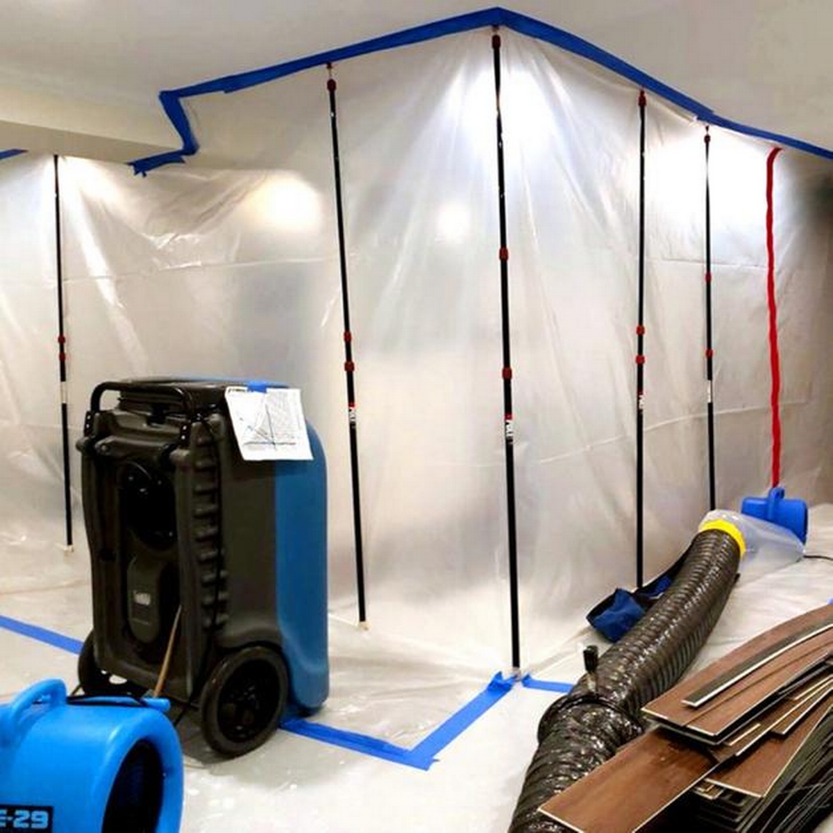 Stepping into Safety: The Importance of Mold Remediation for Family and Business Well-Being