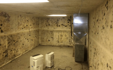 Basement Mold Removal and Remediation in Bridgeport, CT