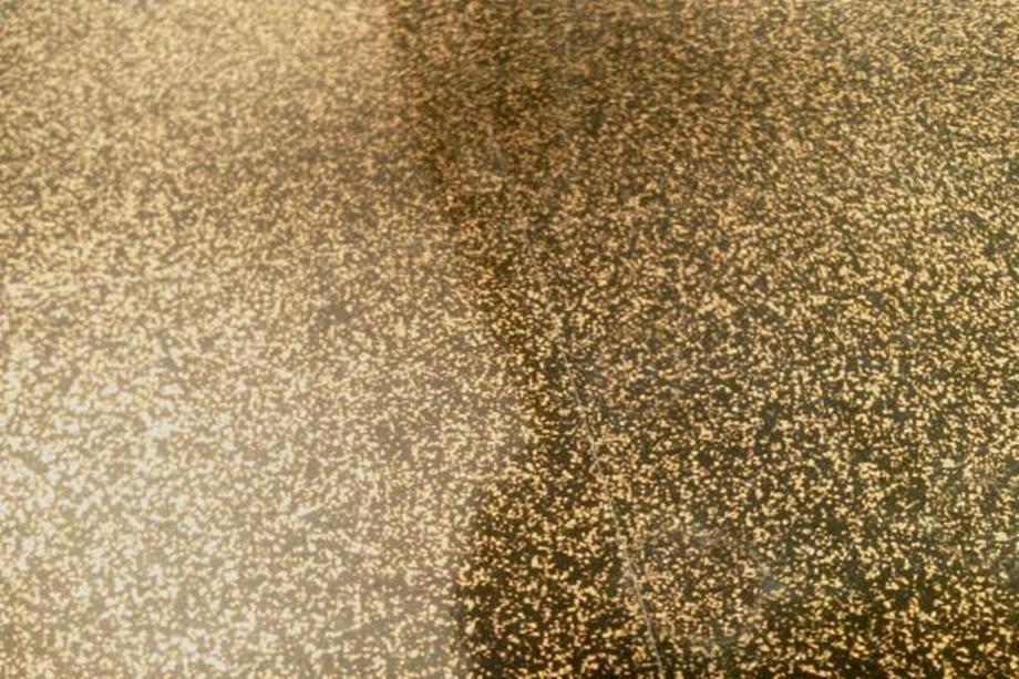 Residential & Commercial Carpet Cleaning Noblesville, IN