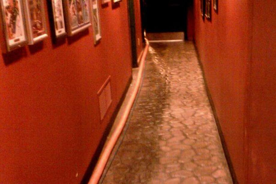 Residential & Commercial Carpet Cleaning Noblesville, IN