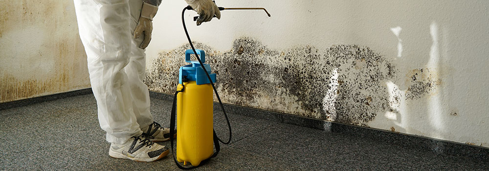 Mold Remediation