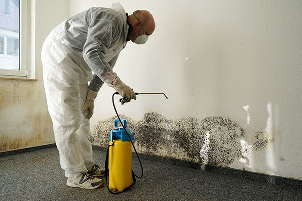 Mold Cleaning On Wall