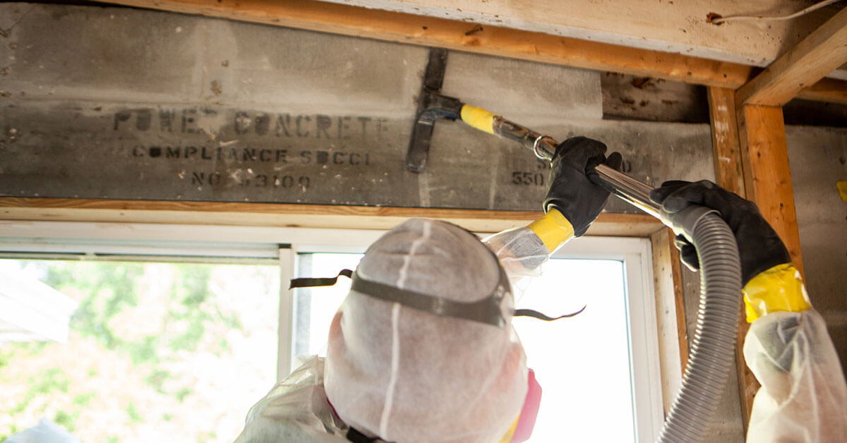 Certified Mold Removal in Brandon, FL Featured Thumbnail