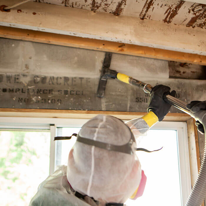 Mold Testing in Lakeland, FL